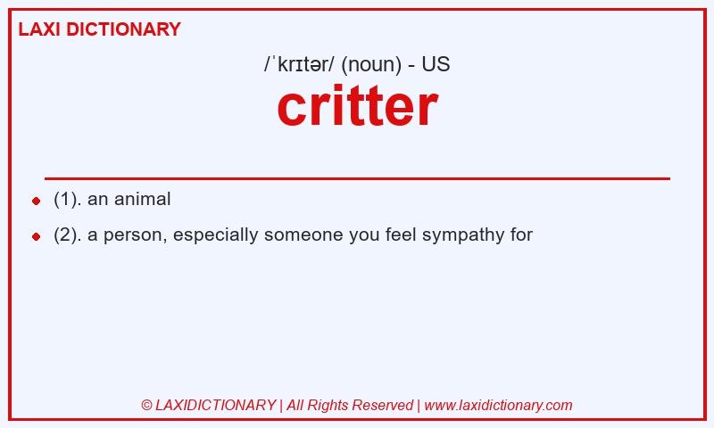 Definition critter in American English