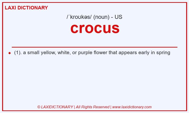 Definition crocus in American English