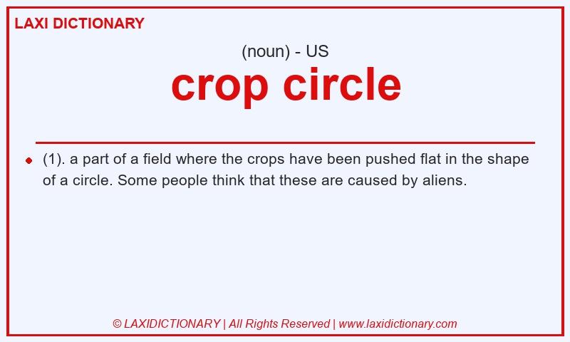 Definition crop circle in American English