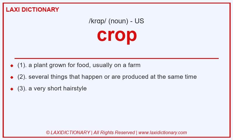 Definition crop in American English