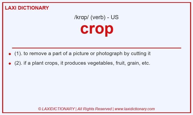 Definition crop in American English