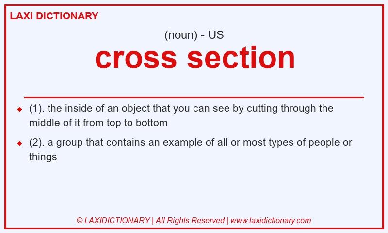 Definition cross section in American English