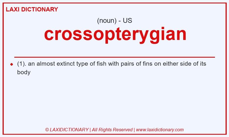 Definition crossopterygian in American English