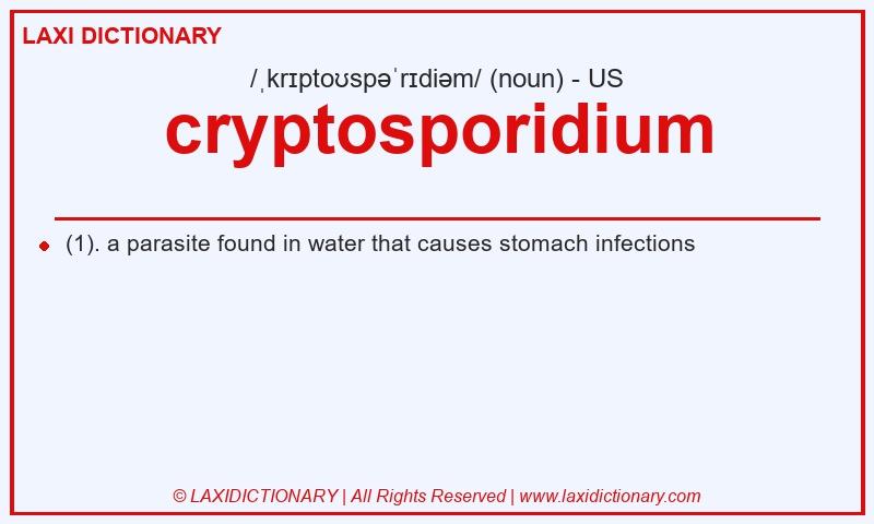 Definition cryptosporidium in American English