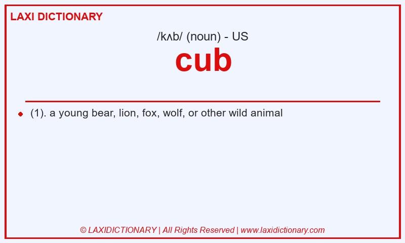 Definition cub in American English