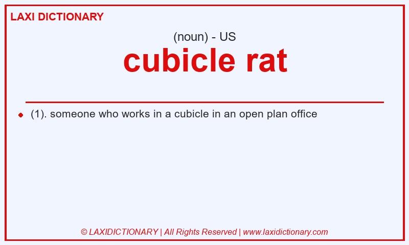 Definition cubicle rat in American English