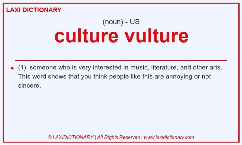 Definition culture vulture in American English
