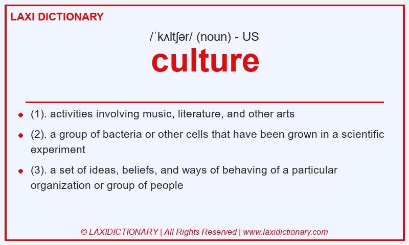 Definition culture in American English