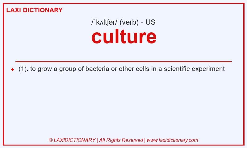 Definition culture in American English