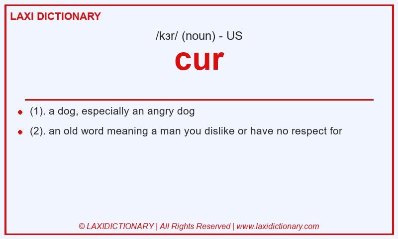 Definition cur in American English