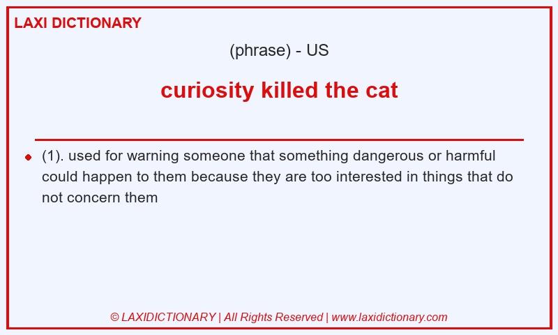 Definition curiosity killed the cat in American English