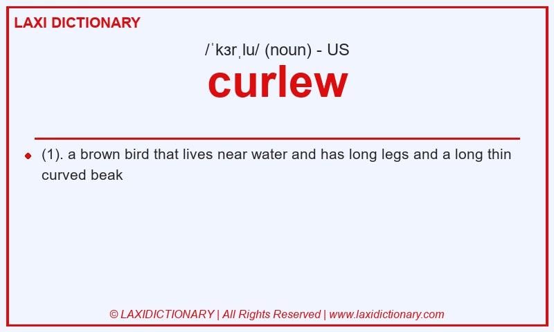 Definition curlew in American English