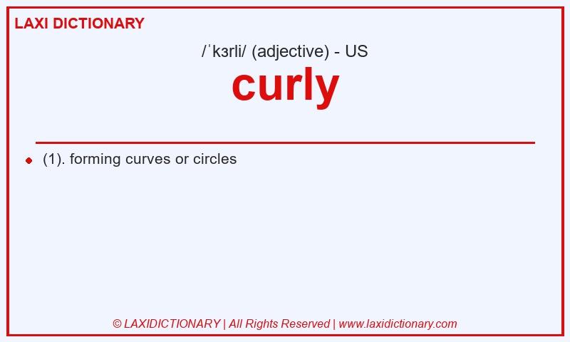 Definition curly in American English
