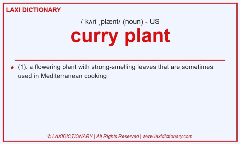 Definition curry plant in American English