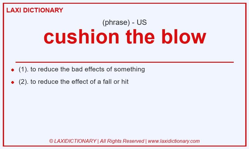 Definition cushion the blow in American English