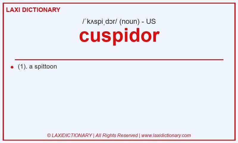 Definition cuspidor in American English