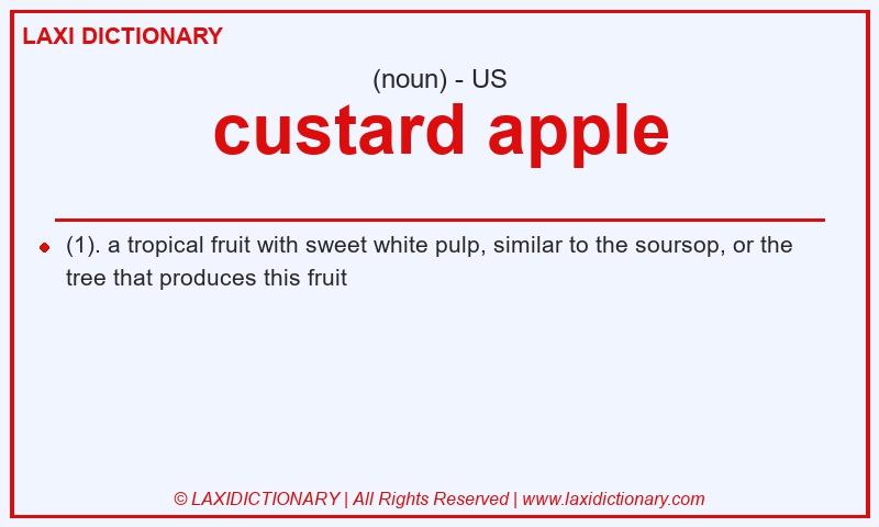 Definition custard apple in American English