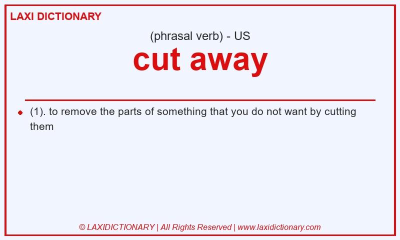 Definition cut away in American English