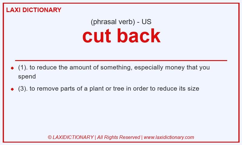 Definition cut back in American English