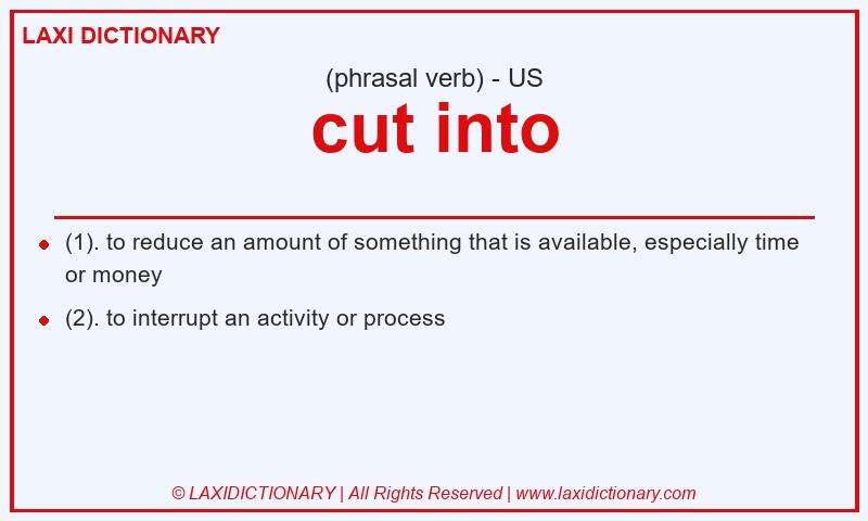 Definition cut into in American English