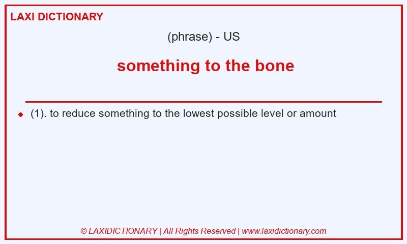 Definition  something to the bone in American English