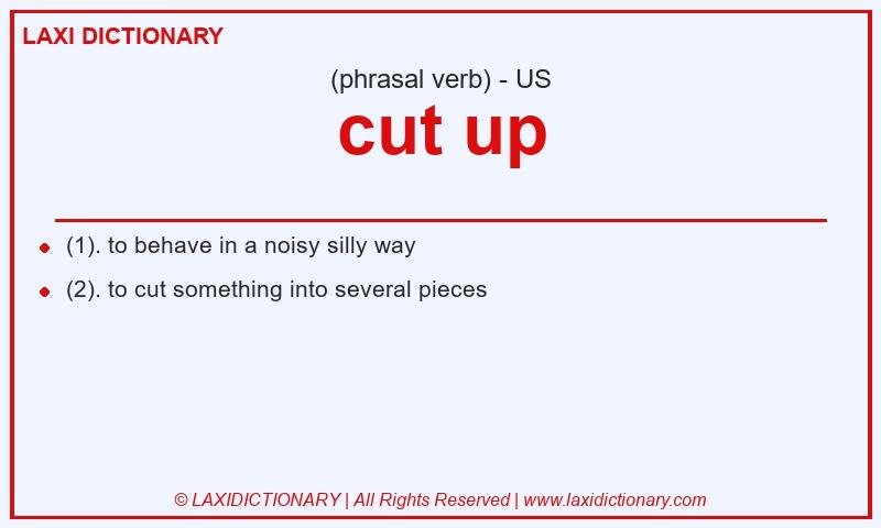 Definition cut up in American English