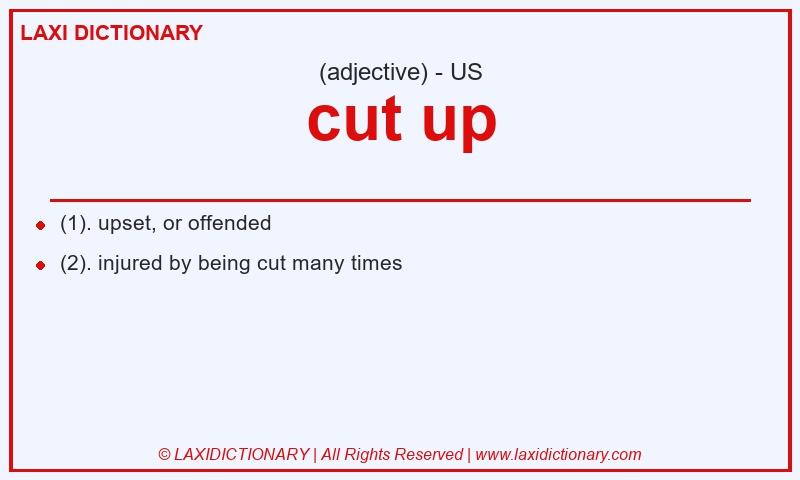 Definition cut up in American English