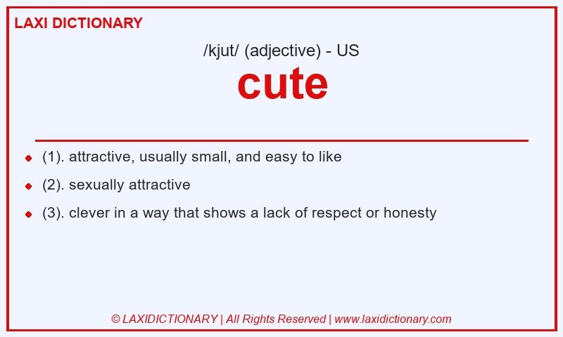 Definition cute in American English