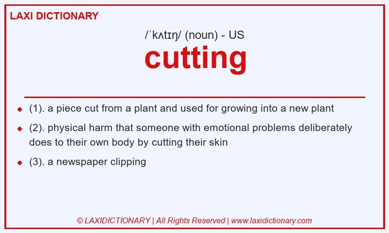 Definition cutting in American English