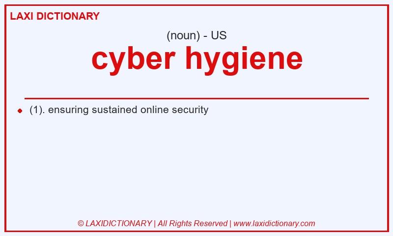 Definition cyber hygiene in American English