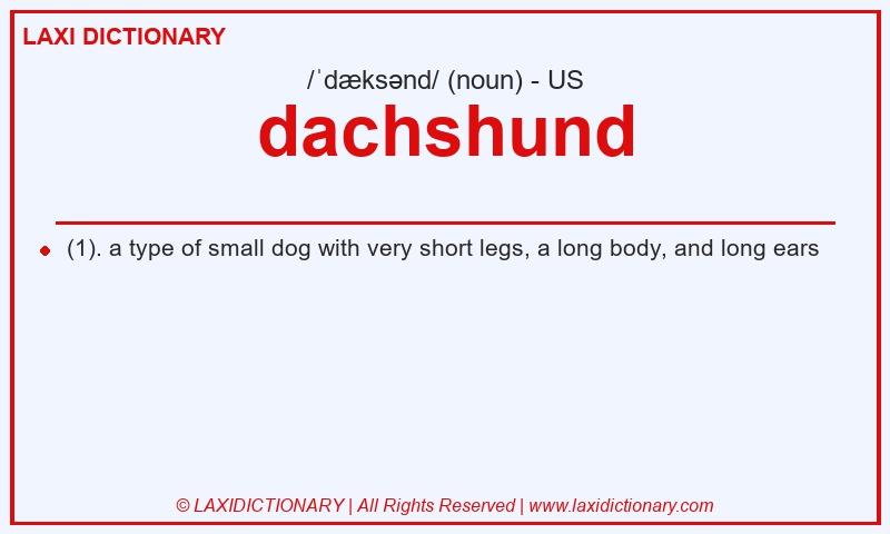 Definition dachshund in American English