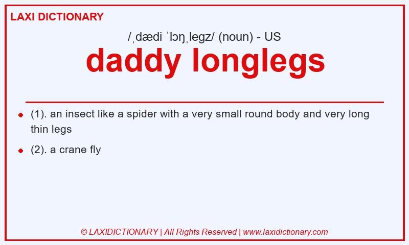 Definition daddy longlegs in American English