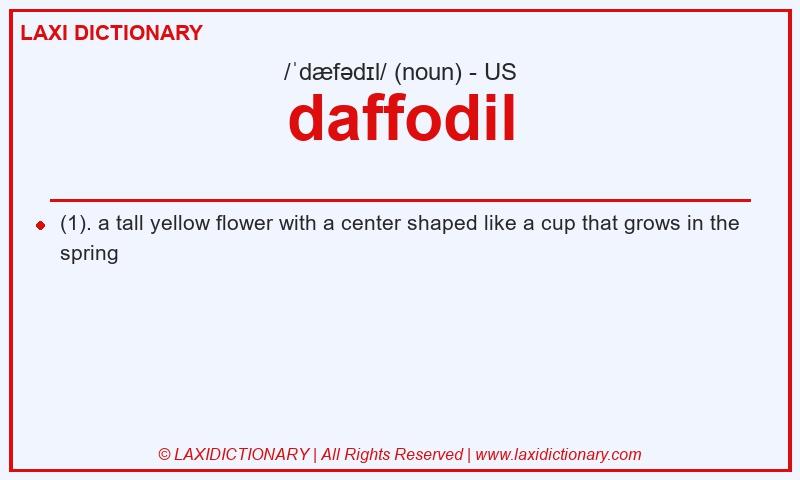 Definition daffodil in American English