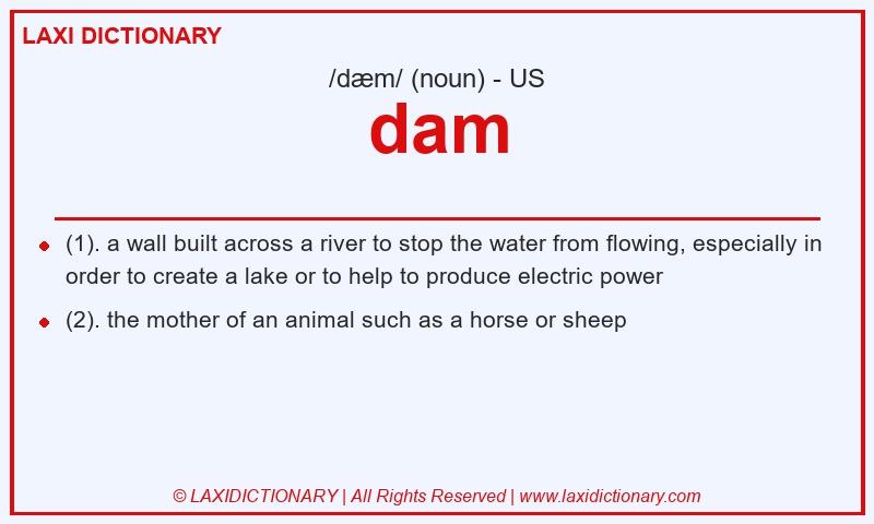 Definition dam in American English