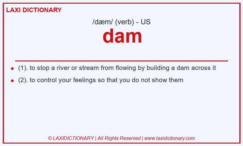 Definition dam in American English