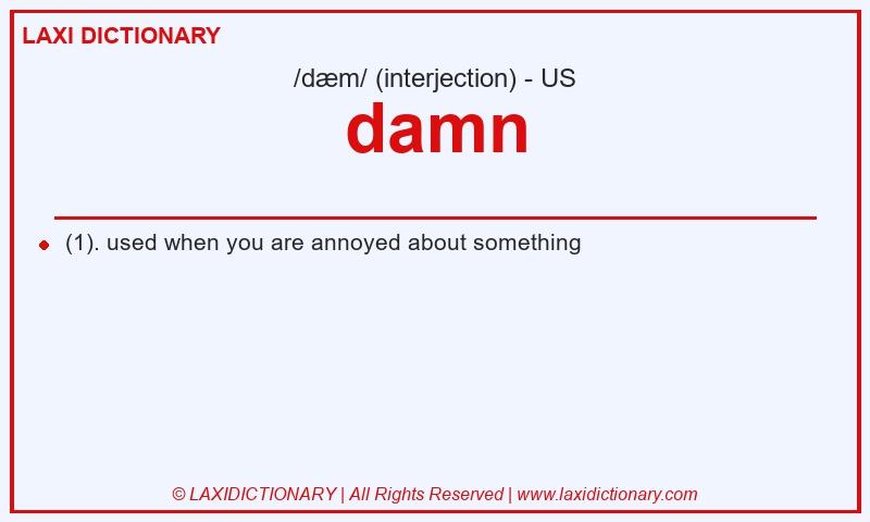 Definition damn in American English