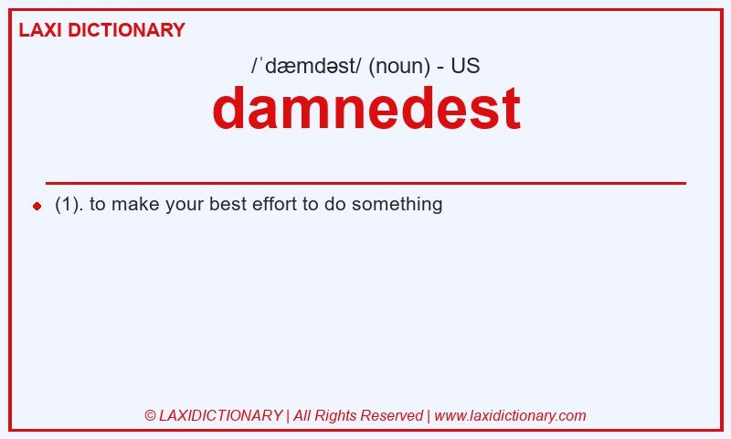 Definition damnedest in American English
