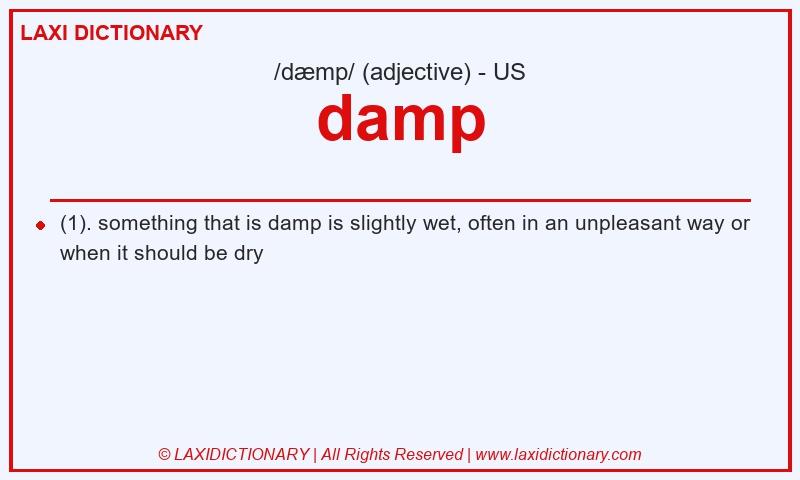 Definition damp in American English