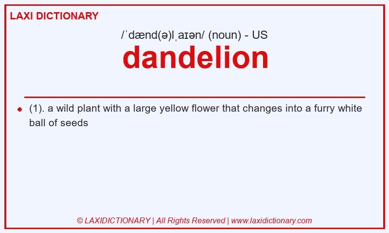 Definition dandelion in American English