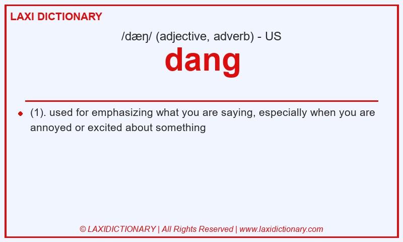 Definition dang in American English