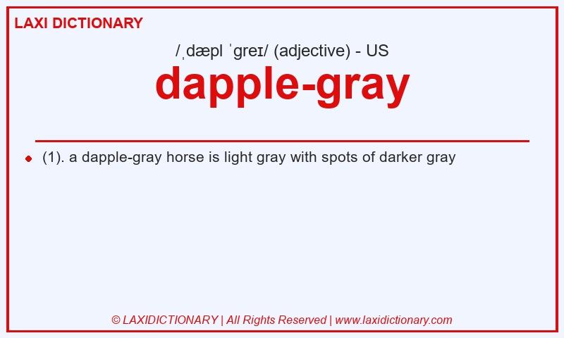Definition dapple-gray in American English