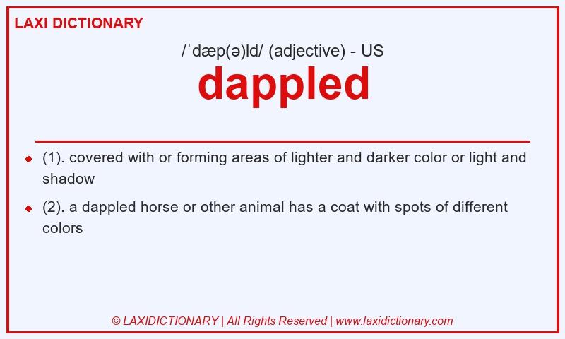 Definition dappled in American English