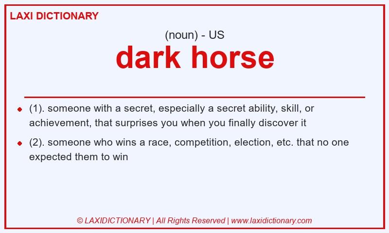 Definition dark horse in American English
