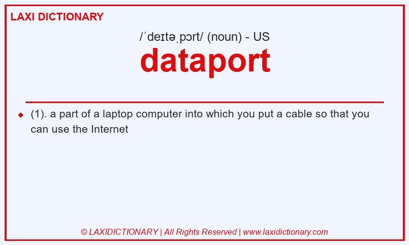 Definition dataport in American English