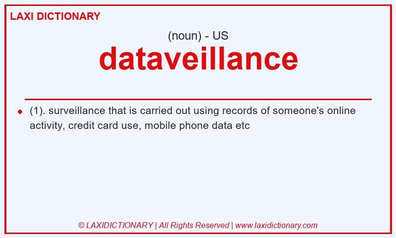 Definition dataveillance in American English