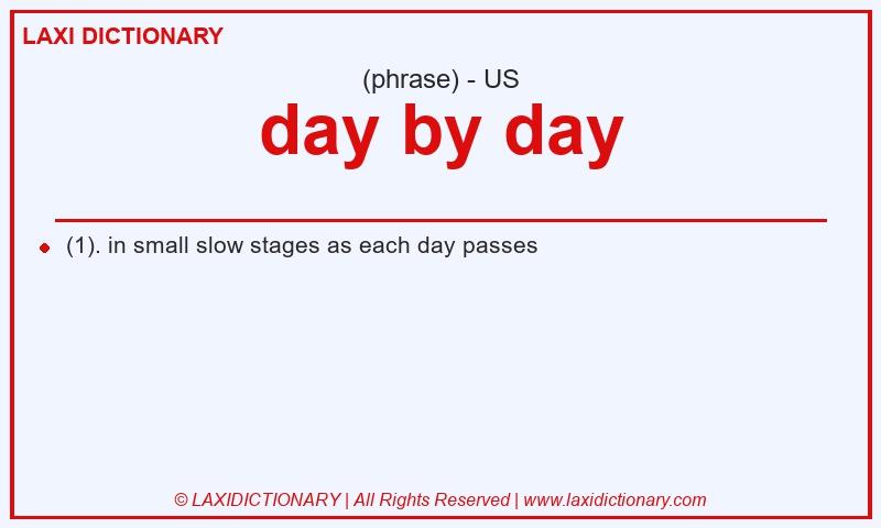 Definition day by day in American English
