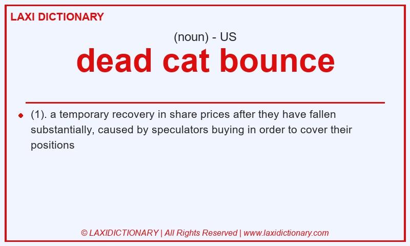 Definition dead cat bounce in American English