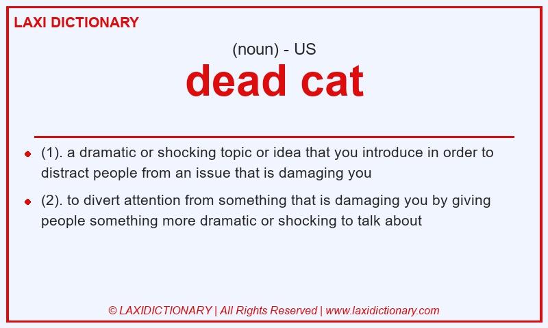 Definition dead cat in American English
