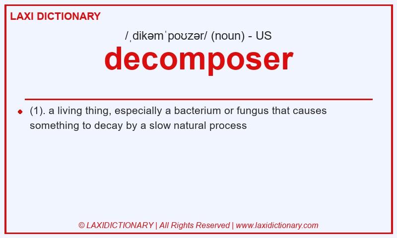 Definition decomposer in American English
