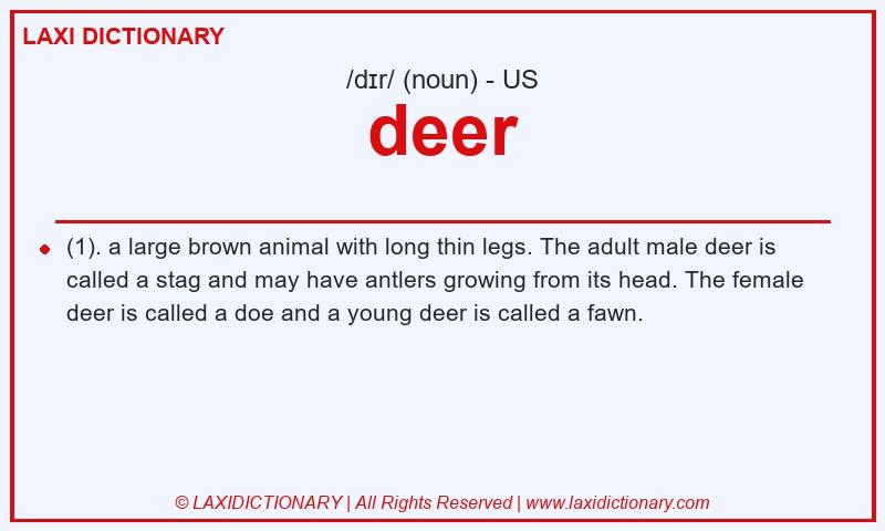 Definition deer in American English